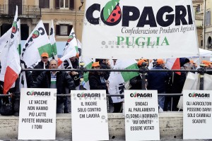 Roma, 25 Febbraio 2015 Protesta dei produttori agricoli contro l'IMU , organizzata da Copagri